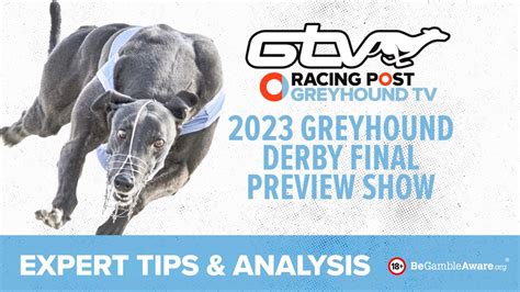 Greyhound Derby Final 2023 Preview Show .